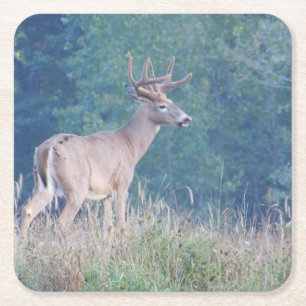 Whitetail-Hirschprofil im Untersetzer für Feldpapi