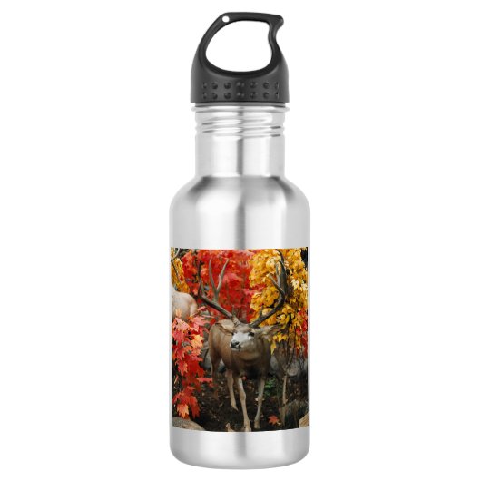 Whitetail im Herbst Aluminiumwasserflasche Edelstahlflasche (Vorderseite)