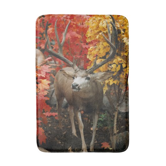 Whitetail im Herbst Badematte (Vorderseite Vertikal)