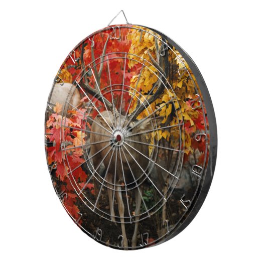 Whitetail im Herbst Dartscheibe (Vorderseite rechts)