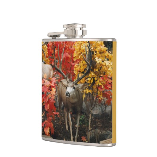 Whitetail im Herbst Flachmann (Links)