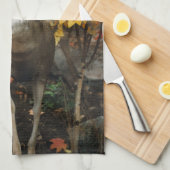 Whitetail im Herbst Handtuch (Viertel Falte)
