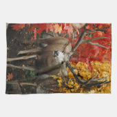 Whitetail im Herbst Handtuch (Horizontal)