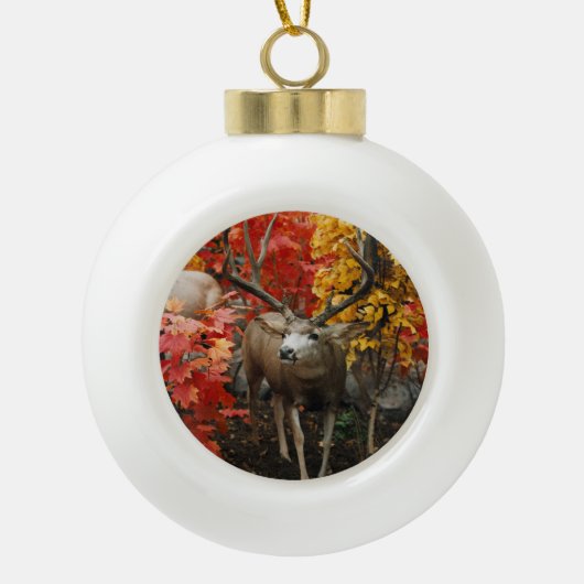 Whitetail im Herbst Keramik Kugel-Ornament (Vorderseite)