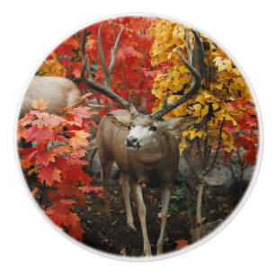 Whitetail im Herbst Keramikknauf