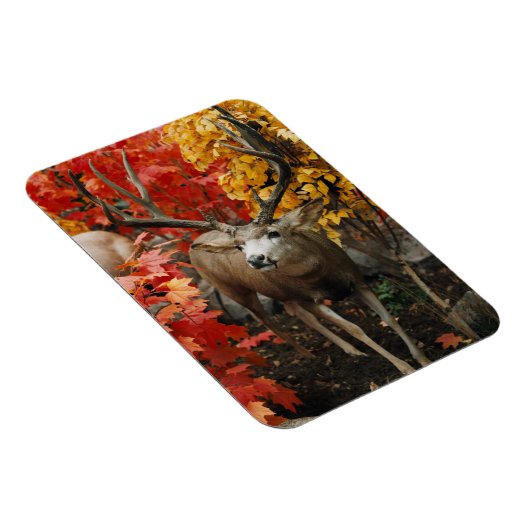 Whitetail im Herbst Magnet (Rechte Seite)