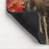 Whitetail im Herbst Mousepad (Ecke)