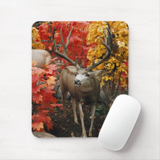 Whitetail im Herbst Mousepad (Mit Mouse)