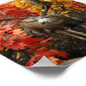 Whitetail im Herbst Poster (Ecke)