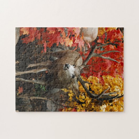 Whitetail im Herbst Puzzle (Horizontal)