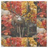 Whitetail im Herbst Stoff (Nahaufnahme)