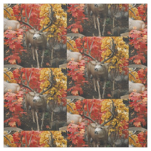 Whitetail im Herbst Stoff (Muster)