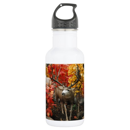 Whitetail im Herbst Trinkflasche (Vorderseite)