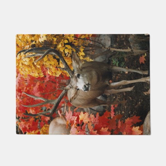 Whitetail In Autumn Fußmatte (Vorderseite)