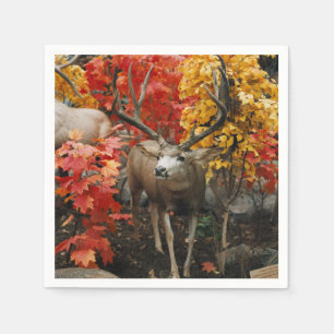 Whitetail In Autumn Serviette