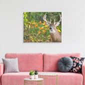 Whitetail Leinwanddruck (Insitu (Wohnzimmer))