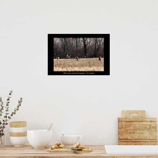 Whitetail Poster (Küche)