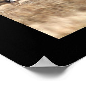 Whitetail Poster (Ecke)