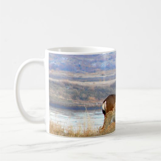 Whitetail-Rotwild durch Columbia River Kaffeetasse (Links)