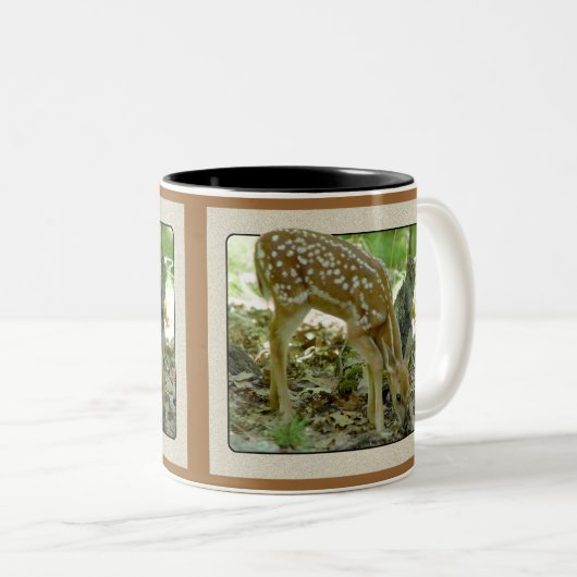 Whitetail-Rotwild - Kitz-Tasse 2 Zweifarbige Tasse (VorderseiteRechts)