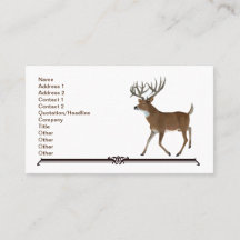 Whitetail Trophy Deer