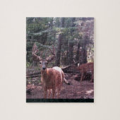 Whitetaildollar im Samt Puzzle (Vertikal)