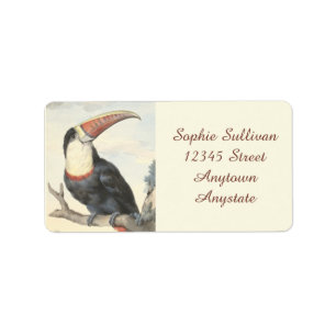 Whitethroated Amerikaner Toucan Vintager Adressaufkleber