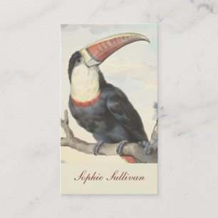 Whitethrop American Toucan Vintag Watercolor Visitenkarte