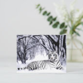 WhiteTiger Postkarte (Stehend Vorderseite)