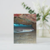 Whitetip Reef Shark 2 Postkarte (Stehend Vorderseite)