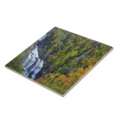 Whitewater Falls in Nantahala National Fliese (Seite)