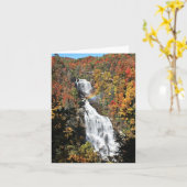 Whitewater Falls Karte (Gelbe Blume)