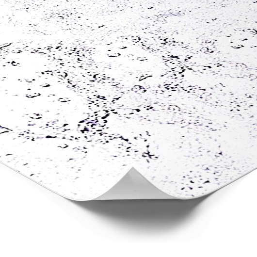 Whitewater Kayaking Poster (Ecke)