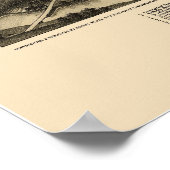 Whitewater, WI Panorama Karte - 1885 Poster (Ecke)