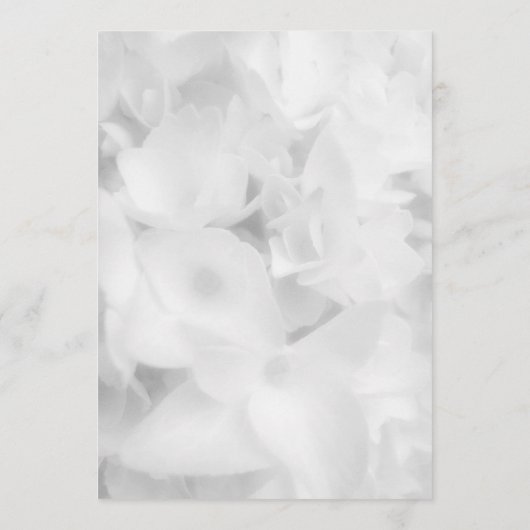 Whitewood Blank Fan Program Paper Programm (Rückseite)