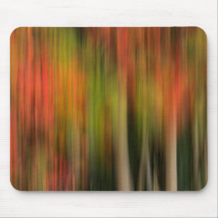 Whitman Mission National Historic Site, WA Mousepad