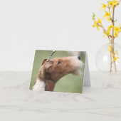 Whitman Notecard Karte (Gelbe Blume)