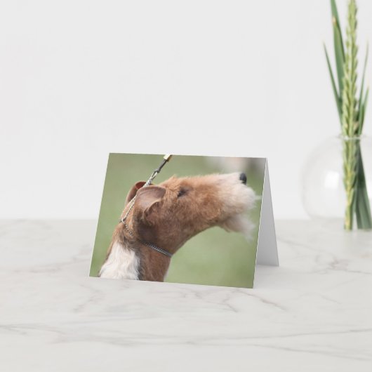 Whitman Notecard Karte (Vorderseite)