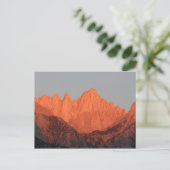 Whitney bei Morgendämmerung.. Postkarte (Stehend Vorderseite)