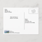 Whittier Alaska Hafen Postcard Postkarte (Rückseite)