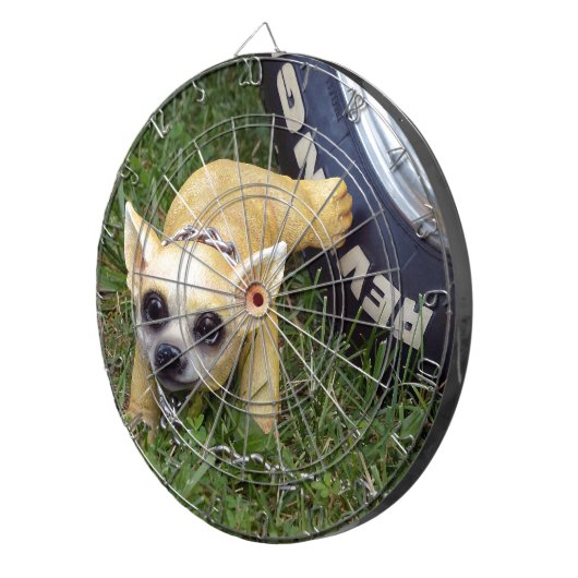 Whiz Kid Dartscheibe (Vorderseite rechts)