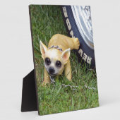 Whiz Kid Fotoplatte (Seite)