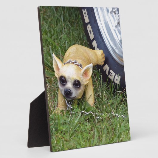 Whiz Kid Fotoplatte (Seite)