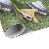 Whiz Kid Geschenkpapier (Rolleneckpunkt)