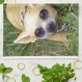 Whiz Kid Küchentuch (Gefaltet)