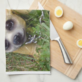 Whiz Kid Küchentuch (Viertel Falte)