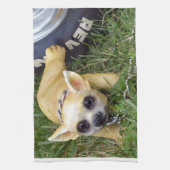 Whiz Kid Küchentuch (Vertikal)