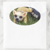 Whiz Kid Ovaler Aufkleber (Tasche)