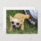 Whiz Kid Postkarte (Vorne/Hinten)