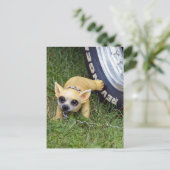 Whiz Kid Postkarte (Stehend Vorderseite)